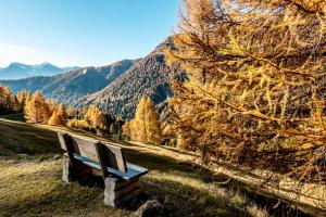 Ferienwohnung Fionas 267