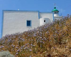 Artistic Dream House Kea Greece