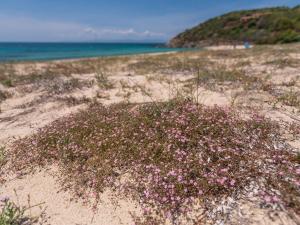 Sardinia SPA Apartment img60