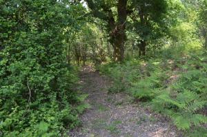 Sejours a la campagne Cabane en foret : photos des chambres