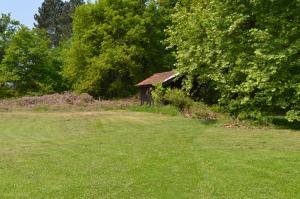 Cabane en forêt photo 21
