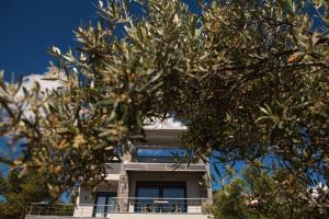 Olivia Estate Villa with Private Swimming Pool