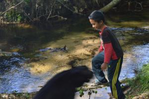 Sejours a la campagne Cabane en foret : photos des chambres