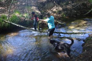 Sejours a la campagne Cabane en foret : photos des chambres