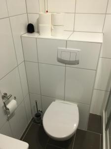 Haus-Deichläufer