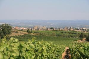 B&B / Chambres d'hotes La Maison sur la Colline : photos des chambres