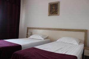 Double or Twin Room with Balcony room in Hotel Ciucas