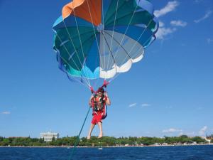 Apartmani Igor & Dragica 