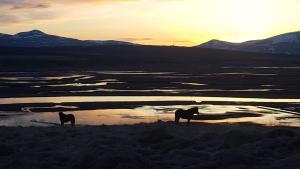 Hofsstadir Farmhouse