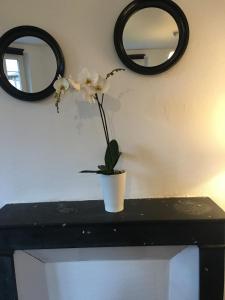 Appartements CosyRouen Gare : photos des chambres