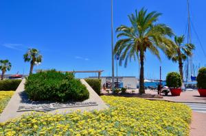 Jazmin Rooftop Alicante by NRAS