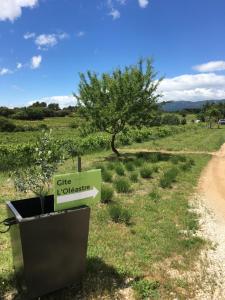 Maisons de vacances L'Oleastre en Luberon : photos des chambres