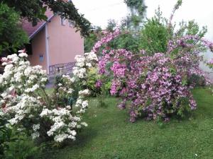 Apartment Tomašević 