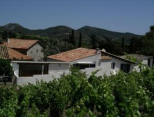 Maisons de vacances Les Gites du Domaine Grand Guilhem : photos des chambres