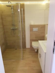 Apartament Janek