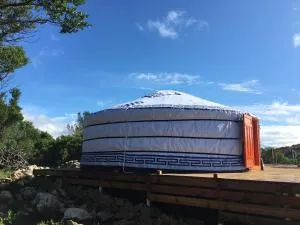 Les insolites de Taracopala - Valaury