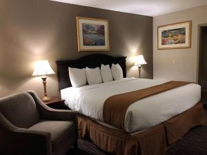 King Room with Roll-In Shower - Disability Access/Non-Smoking room in Best Western Gateway Adirondack Inn