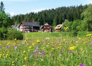 obrázek - Landhaus Anja