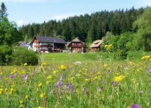 Landhaus Anja - 弗罗伊登施塔特