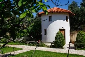 Kefalonian Mill - Oneira Villas - Mousata