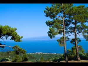 Pan Mare Thassos Greece