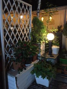 Студия Давидов "Studios Davidoff"- апартаменти под наем