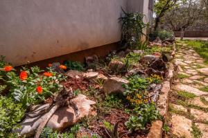 Apartments Cvita Ugljan