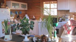 Chalets Chalet Finlandais : photos des chambres