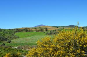 Casa Grande by Rosas Cantares
