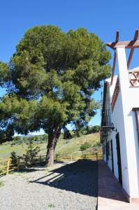 Casa Grande by Rosas Cantares