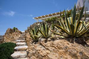 Salty Houses Myconos Greece