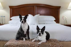 Queen Room with Two Queen Beds room in Rogue Regency Inn & Suites