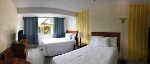 Deluxe Double Studio with Two Double Beds room in Hilo Reeds Bay Hotel