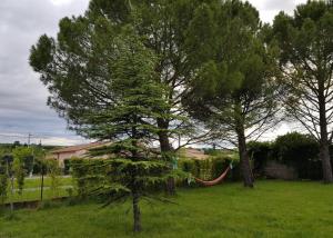 Maisons de vacances gite en sud Ardeche : photos des chambres