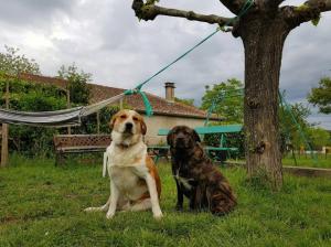 Maisons de vacances gite en sud Ardeche : Maison de Vacances