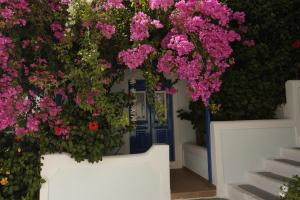 Euthimia luxury studios Astypalaia Greece