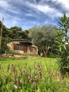 La Cerca Del Alcornoque - Millanes