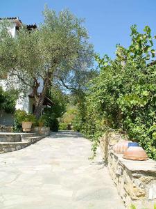 Marlitsis Apartments & Studios Skopelos Greece