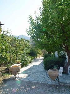 Marlitsis Apartments & Studios Skopelos Greece