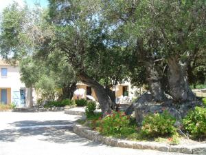 Appartements Residence Motel Corsicana : photos des chambres