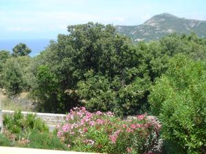 Appartements Residence Motel Corsicana : photos des chambres