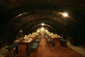 Borgaléria - Reviczkytanya