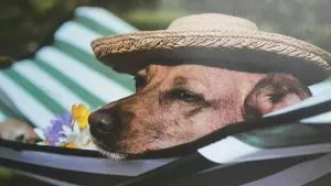 Lieblings-Platz - Lutter am Barenberge