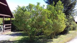 Chalets Chalet Domaine du Hulobiet : photos des chambres