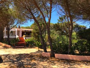 Villa Maddalena - Giardinelli img67