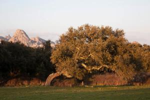 Locanda Li Manni img29