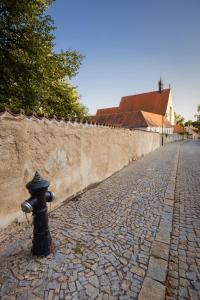 Pštrossova Vila - u klášterní zahrady