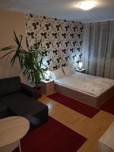 Coral Apartman