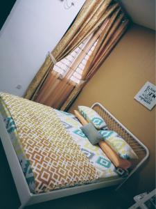 Aryan Homestay