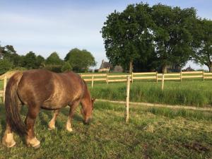 B&B / Chambres d'hotes Le Clos du Gusquel : photos des chambres